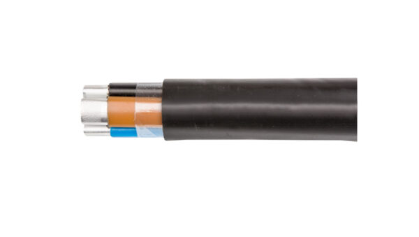 Kabel energetyczny YAKXS 4x120 żo 0,6/1kV SE /bębnowy/
