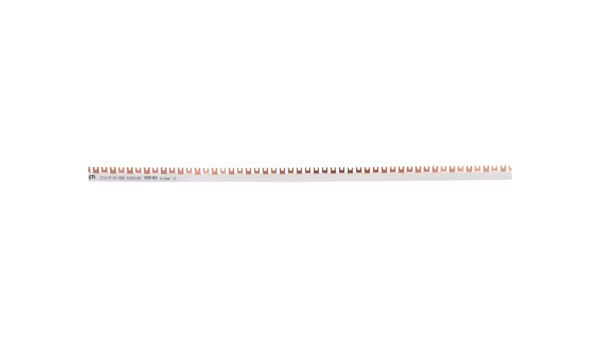 Szyna łączeniowa widełkowa 2P 100A 16mm2 (54mod.) IZ16/2F/54 002921067