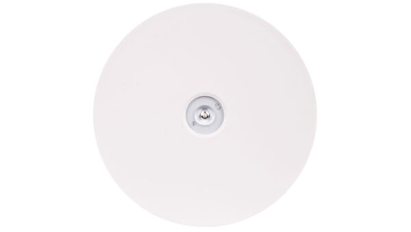 Oprawa awaryjna AXN IP65 ECO LED 1W 125lm (opt. otwarta) 1h jednozadaniowa AT biała AXNO/1W/E/1/SE/AT/WH