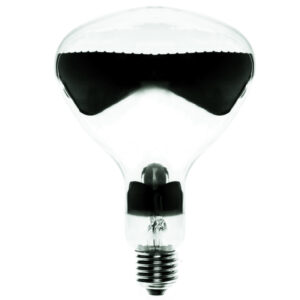 Promiennik podczerwieni E27 375W R125 IR 230-250V CL 1CT 8711500126597